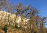 Copropriété "Parc d‘Ardenay" Palaiseau